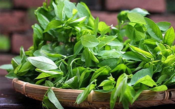 Ảnh minh hoạ: Internet