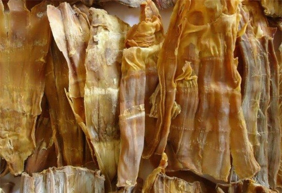 Ảnh minh hoạ: Internet