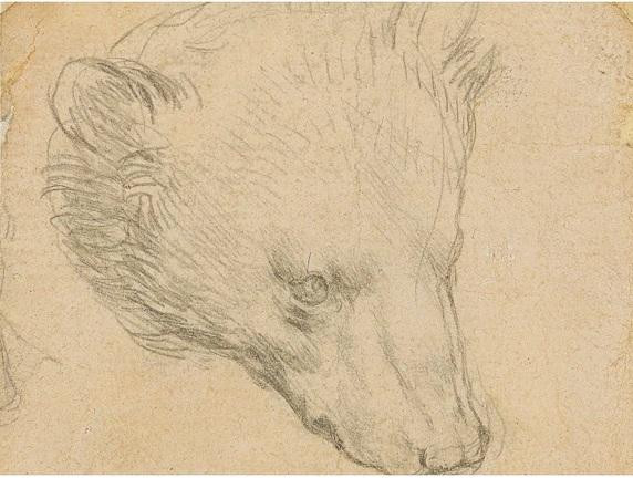 Bức phác họa chừng 20cm2 nhưng dự định được bán đấu giá hơn 16 triệu USD vì kỹ thuật silverpoint đặc biệt.