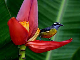 Ảnh minh họa: Internet