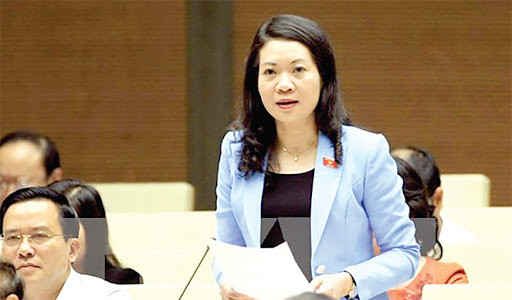 Đại biểu Quốc hội Mai Thị Phương Hoa, Uỷ viên Thường trực Uỷ ban Tư pháp