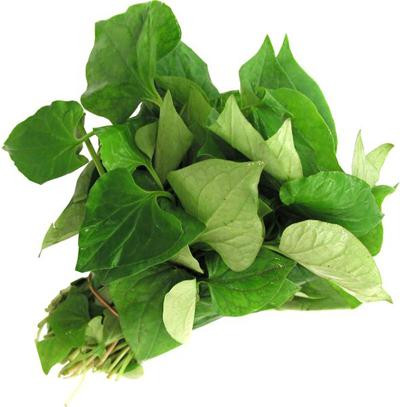 Ảnh minh hoạ: Internet