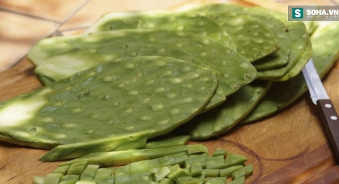 Ảnh minh hoạ: Internet