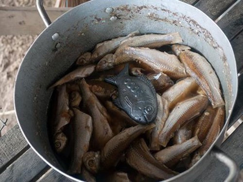 Ảnh minh họa: Internet