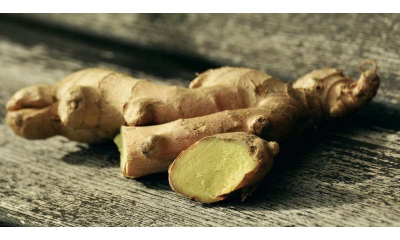 Củ gừng có hoạt tính chống viêm, rễ của nó có hoạt chất 6-gingerol có thể chống lại bệnh tự miễn dịch.