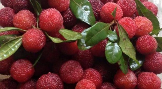 Ảnh minh họa: Internet