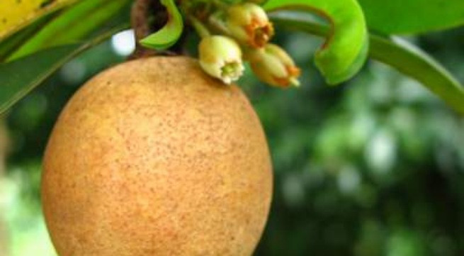 Ảnh minh họa: Internet