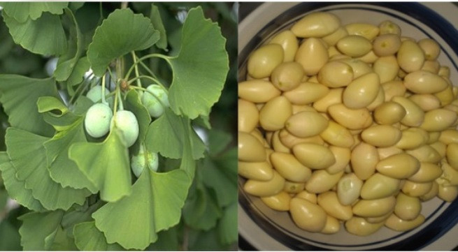 Ảnh minh họa: Internet