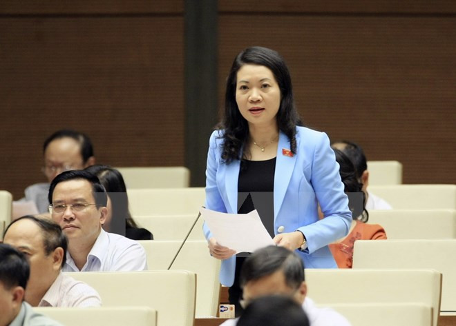 Đại biểu Quốc hội Mai Thị Phương Hoa, Uỷ viên Thường trực Uỷ ban Tư pháp 
