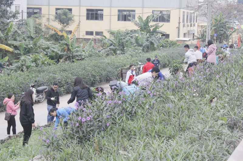 Tuổi trẻ Thủ đô đồng loạt ra quân Chủ nhật xanh