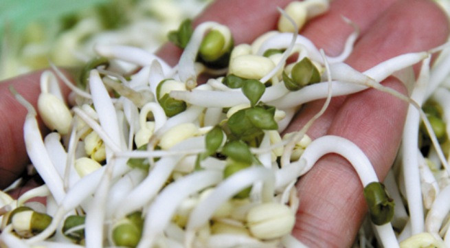 Ảnh minh họa: Internet