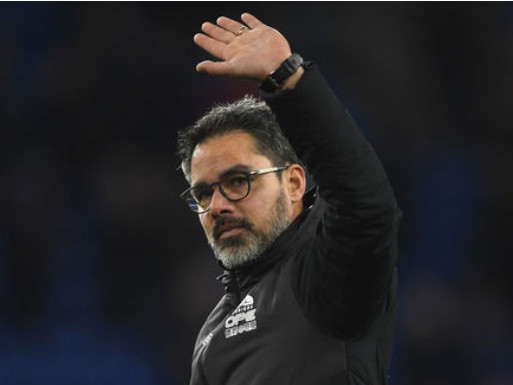 David Wagner đã trở thành HLV thứ 4 mất việc tại Premier League mùa này. 