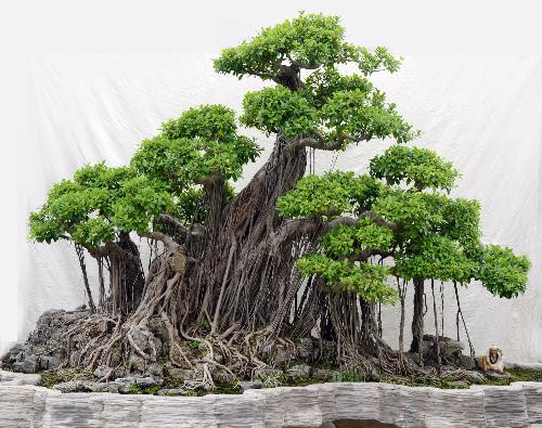 Ảnh minh hoạ: Internet