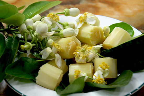 Ảnh minh hoạ: Internet