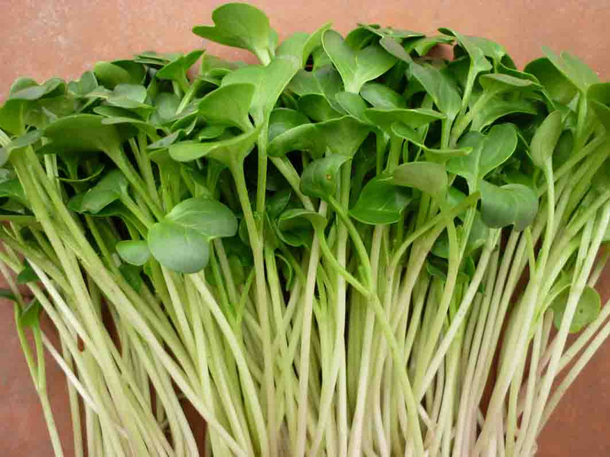 Ảnh minh hoạ: Internet