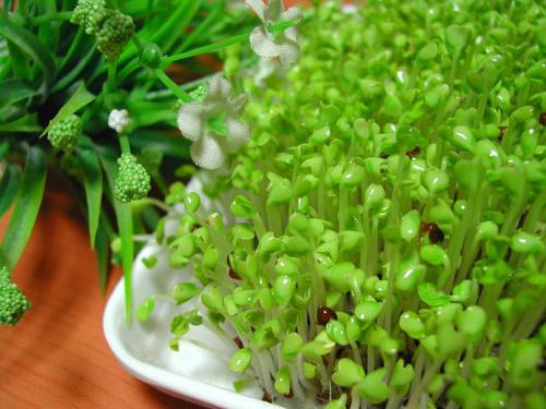 Ảnh minh hoạ: Internet