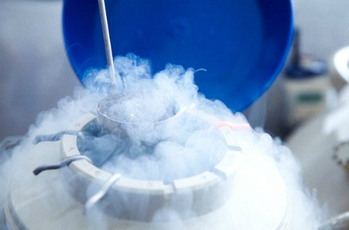 Đông lạnh trứng ở trong môi trường nitơ lỏng âm 196oC. Ảnh: News.