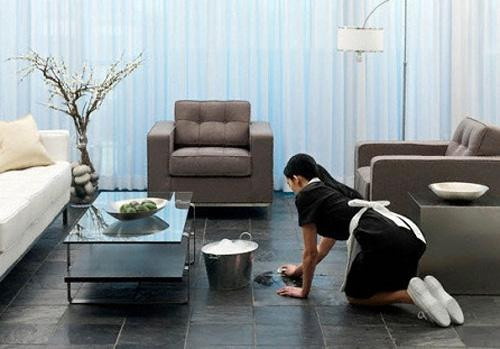 Cử nhân đại học danh giá đi làm osin gây tranh cãi