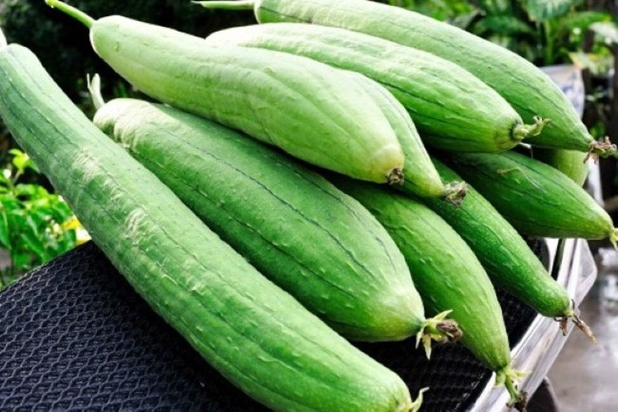 Ảnh minh họa: Internet