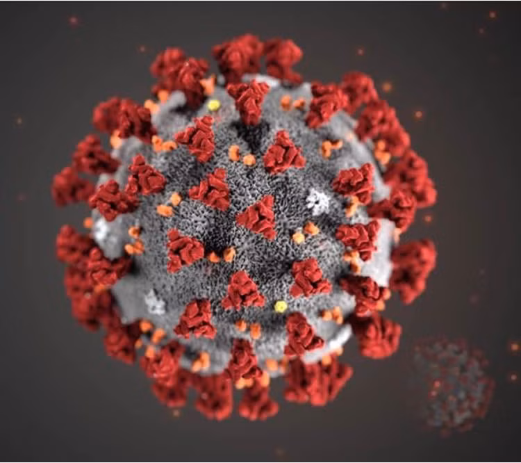 Ảnh minh họa: Internet