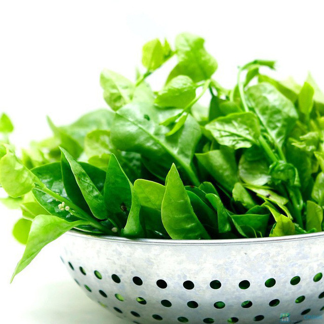 Ảnh minh họa: Internet