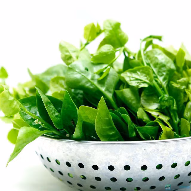 Ảnh minh họa: Internet