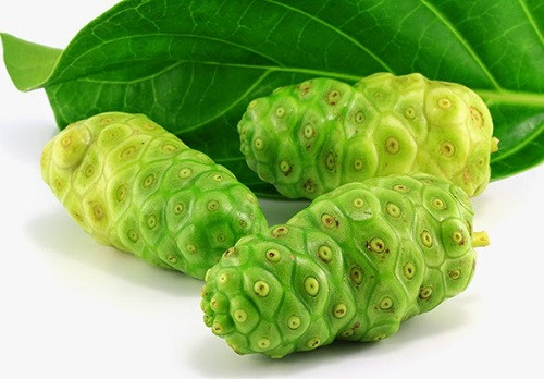 Ảnh minh hoạ: Internet