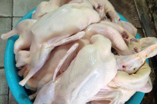 Ảnh minh hoạ: Internet