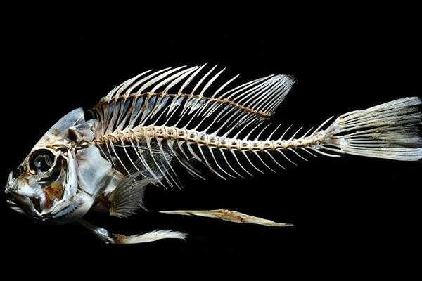 Ảnh minh họa: Internet