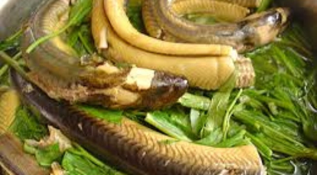 Ảnh minh hoạ: Internet