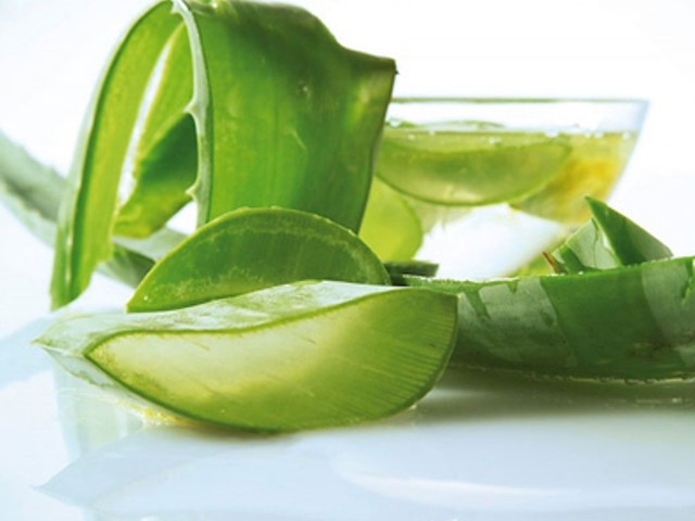 Ảnh minh hoạ: Internet