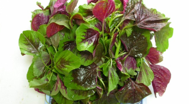 Ảnh minh hoạ: Internet