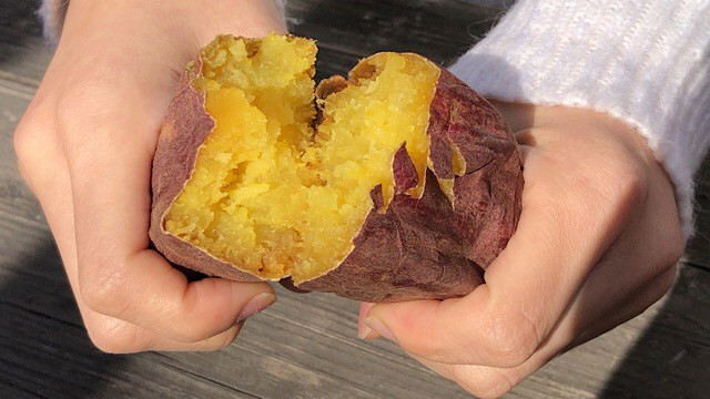 Ảnh minh họa: Internet