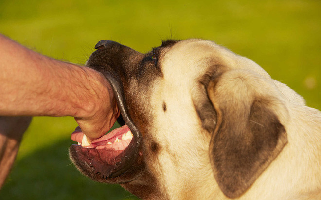 Ảnh minh hoạ: Internet