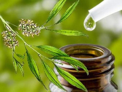 Ảnh minh hoạ: Internet