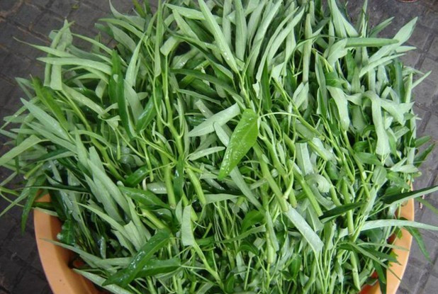 Ảnh minh hoạ: Internet