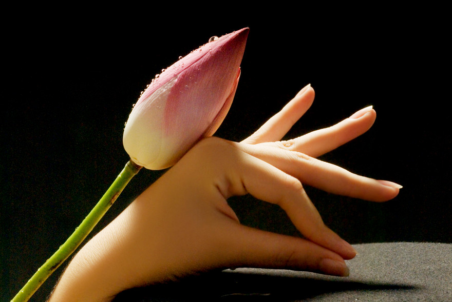 Ảnh minh hoạ: Internet