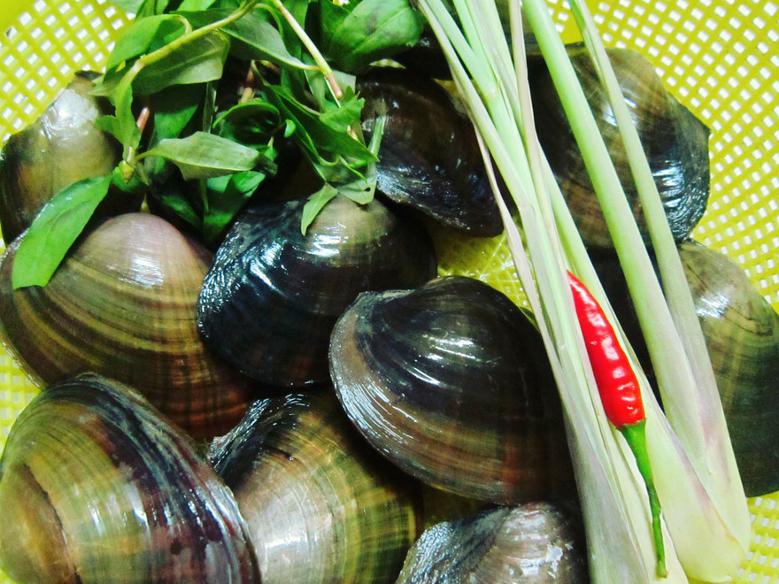 Ảnh minh họa: Internet