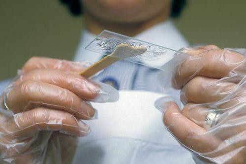 Ảnh minh hoạ: Internet