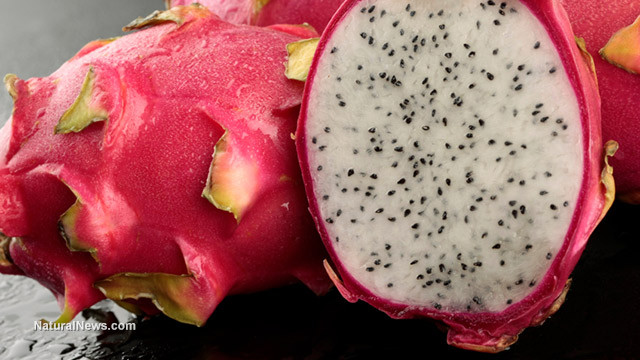 Ảnh minh hoạ: Internet