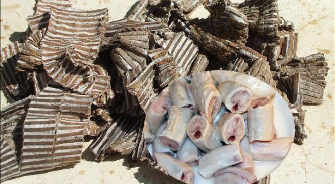 Ảnh minh họa: Internet