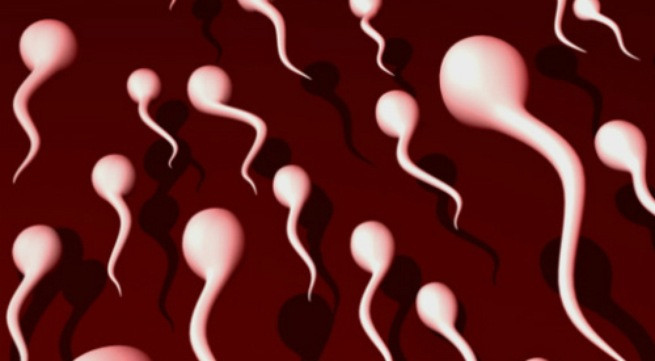 Ảnh minh họa: Internet