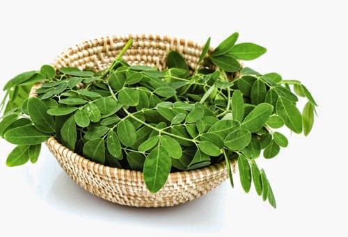 Ảnh minh hoạ: Internet