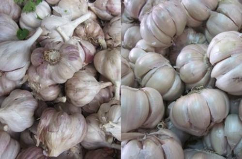 Ảnh minh họa: Internet