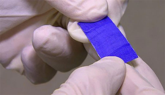 Ảnh minh họa: Internet