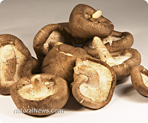 Ảnh minh hoạ: Internet