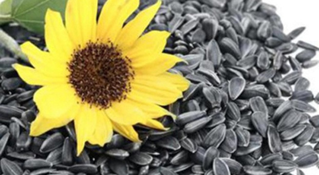 Ảnh minh họa: Internet