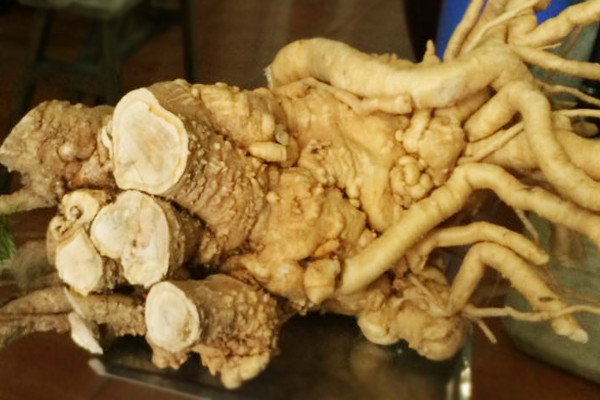 Ảnh minh hoạ: Internet