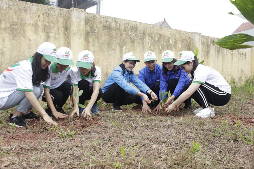 Trồng cây xanh bảo vệ môi trường