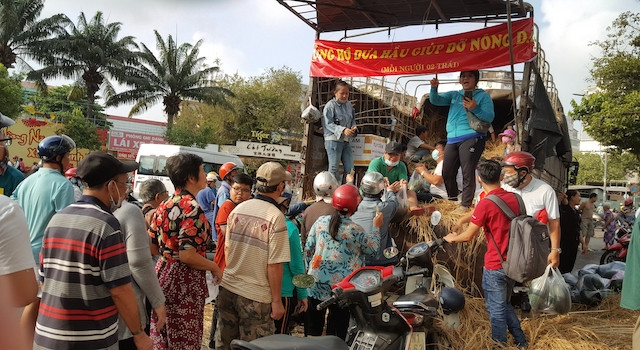 Bạn trẻ mua 27 tấn dưa hấu mang về phát miễn phí